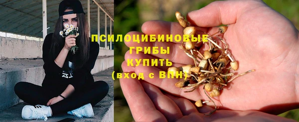 каннабис Алексеевка